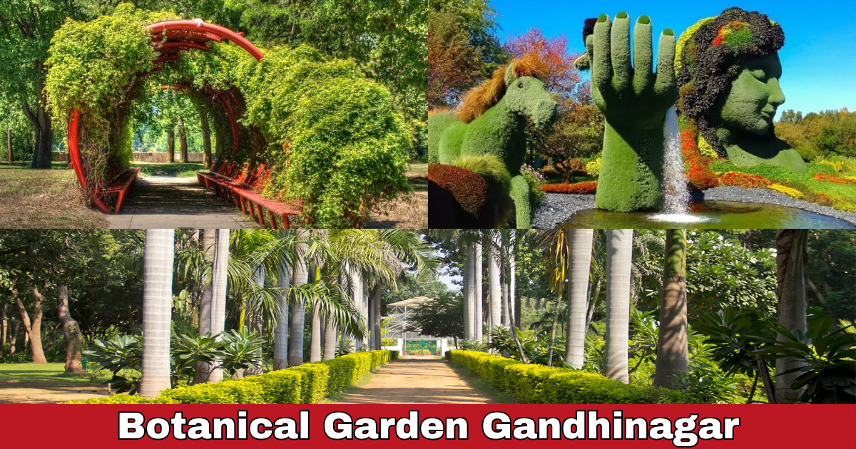 Botanical Garden, Indroda Park Gandhinagar