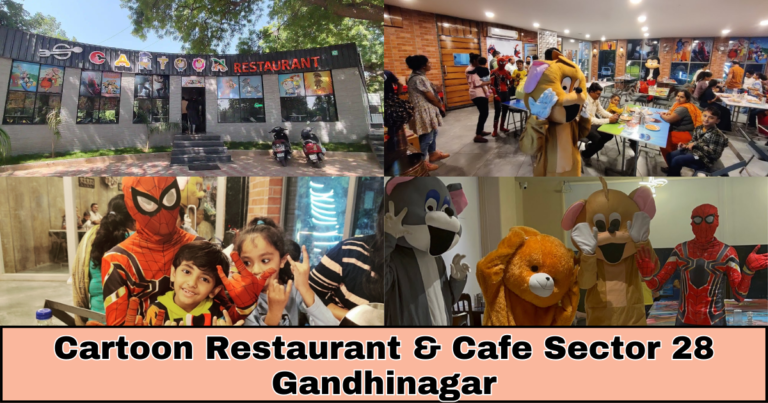 cartoon restaurant & cafe sector 28 gandhinagar