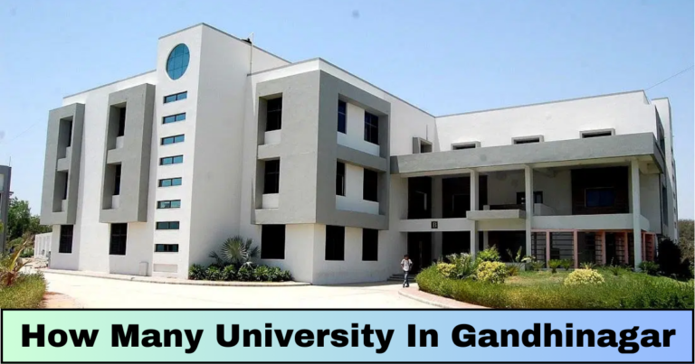 how many university in gandhinagar