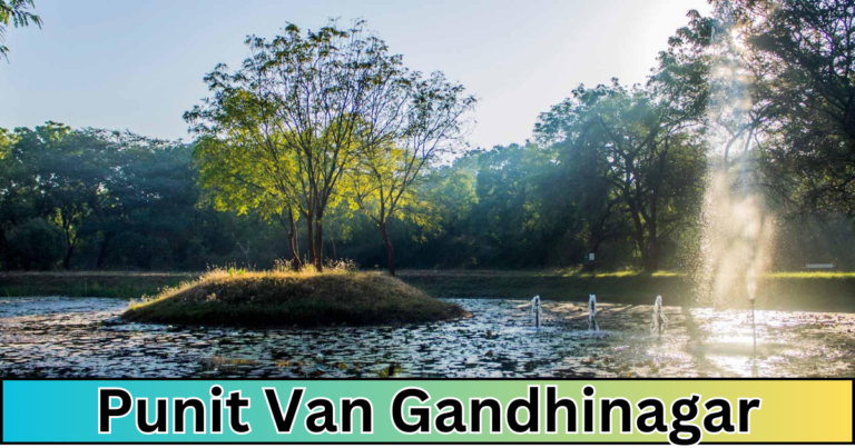 Punit Van Gandhinagar : Where Nature and Harmony Converge