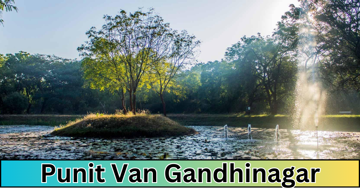 Punit Van Gandhinagar: Where Nature and Harmony Converge