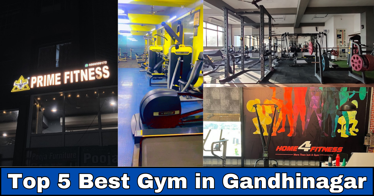 top 5 Best Gym in Gandhinagar : Unleash Your Potential Fitness