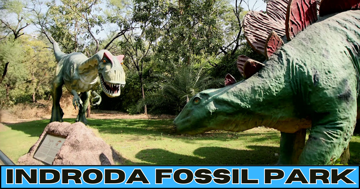 indroda fossil park : Journey into the Past