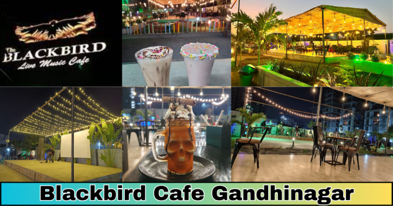 Blackbird Cafe Gandhinagar: Your Chill Hangout Spot with Good Vibes