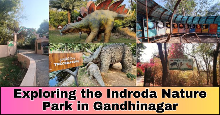 Exploring the Indroda Nature Park in Gandhinagar