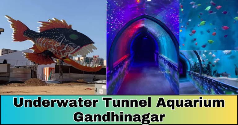 underwater tunnel aquarium gandhinagar