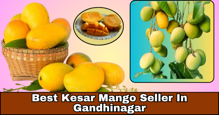 best kesar mango seller in gandhinagar : Find Your Perfect Mango Match in Gandhinagar