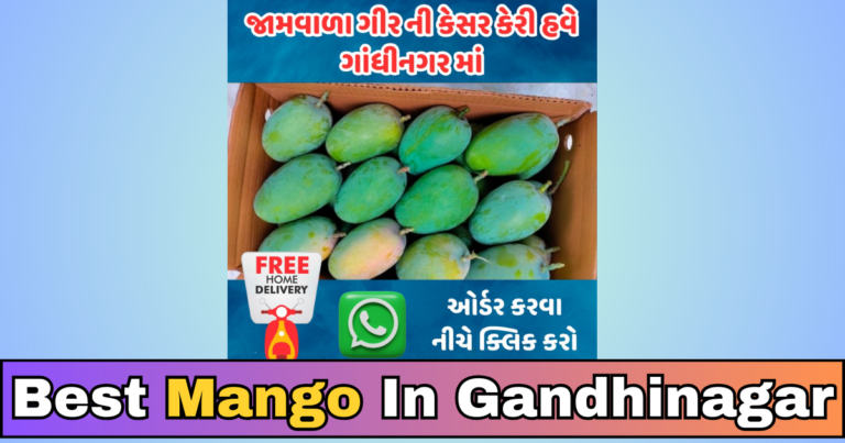 best mango in gandhinagar : The Sweet Quest